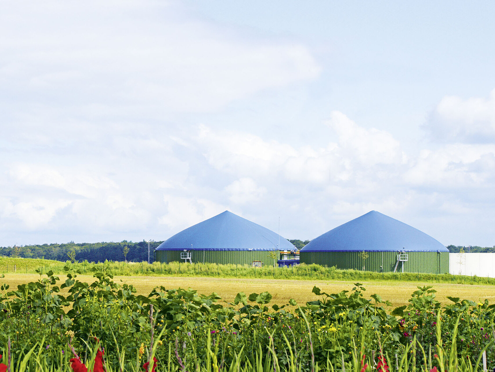 Alternative Energien - Biogas & Windenergie Biogasanlage